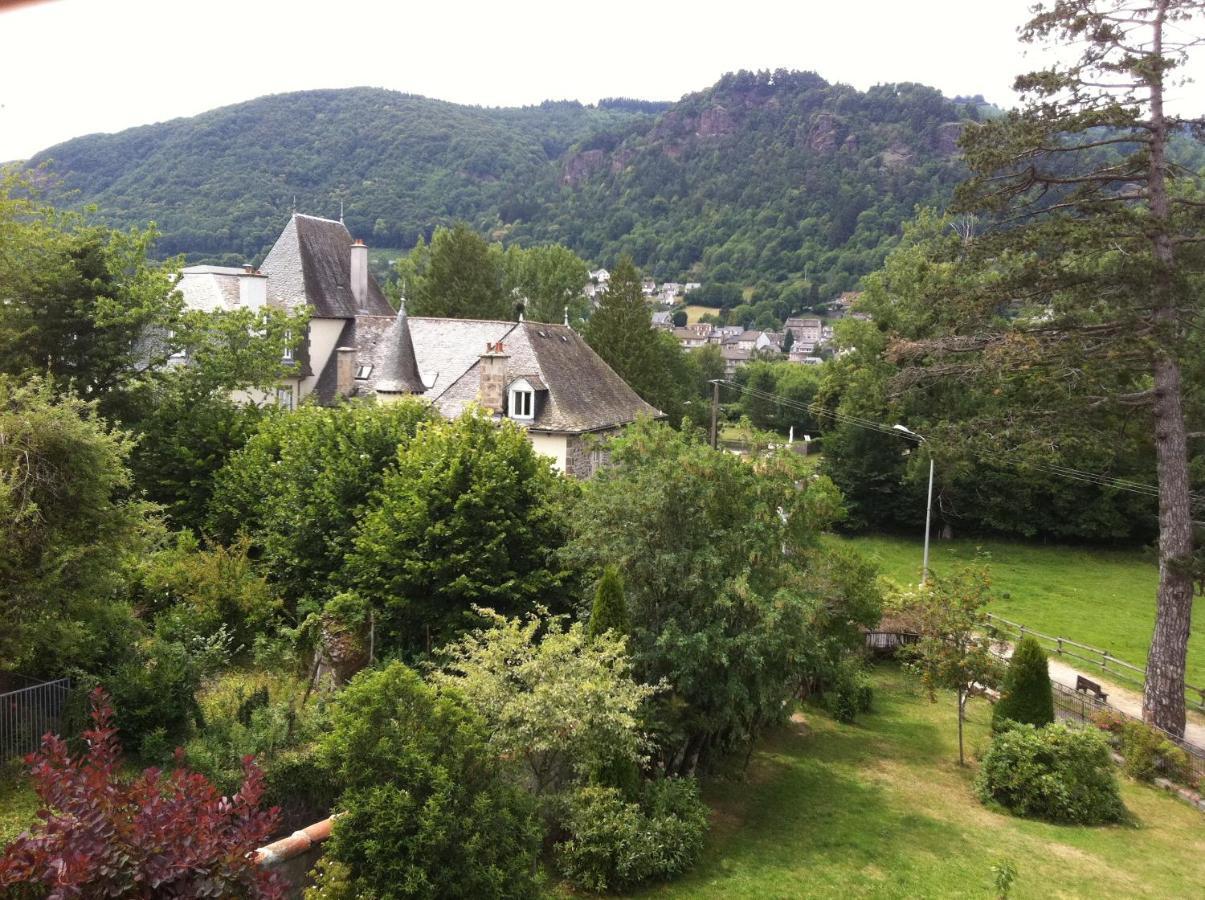 Le Kino Panorama Bed and Breakfast Vic-sur-Cère Buitenkant foto